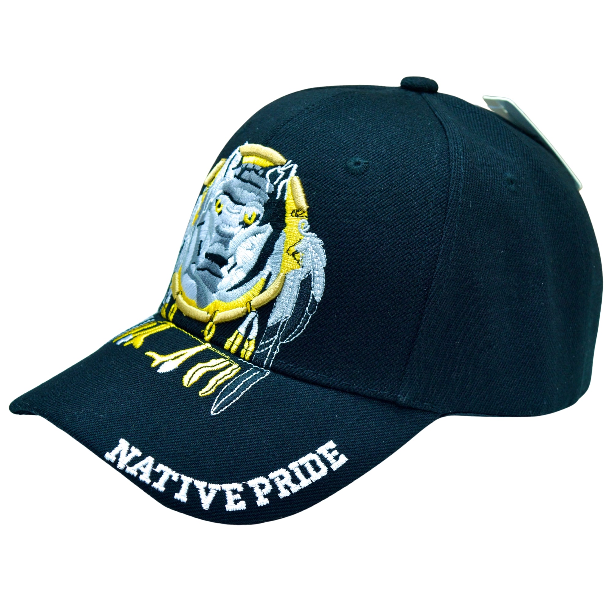 Native Pride Baseball Cap
