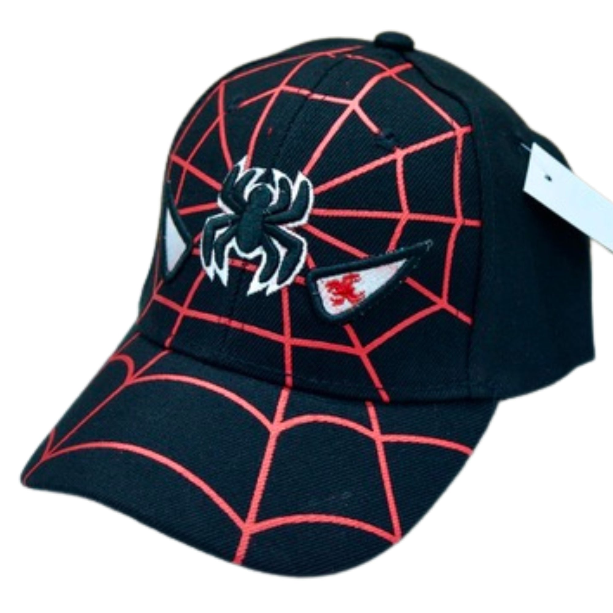 Spider with Web Baseball Cap