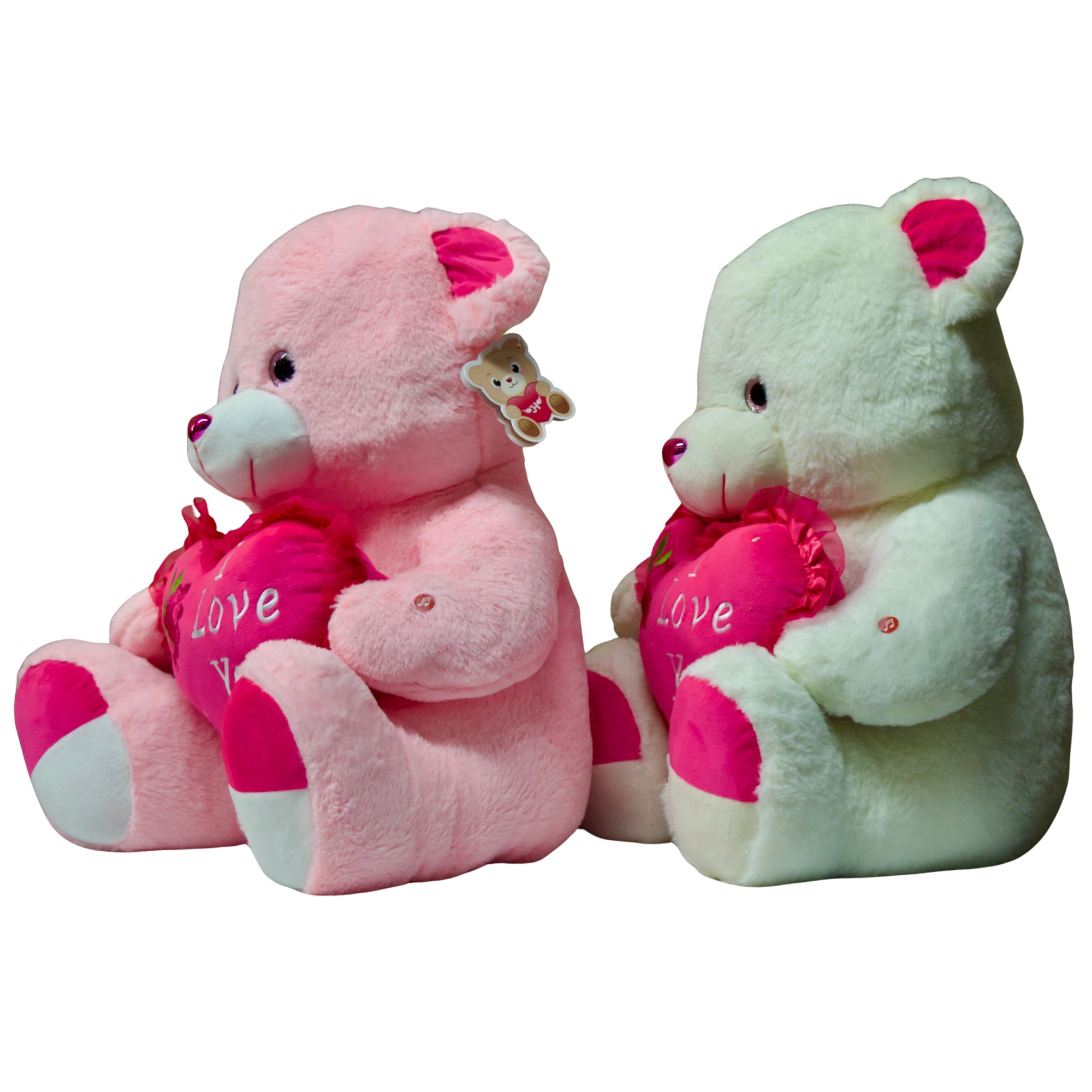 Red rose teddy bear with a pink heart on a white background